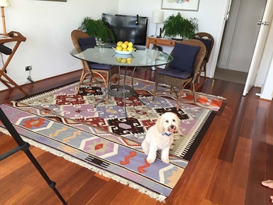Living With Rugs
