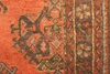Picture of OLD CARPET