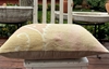 Picture of SUZANI PILLOW